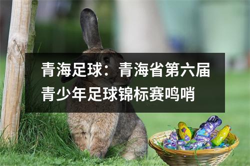 青海足球：青海省第六届青少年足球锦标赛鸣哨