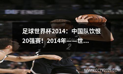 足球世界杯2014：中国队饮恨20强赛！2014年——世界杯预选赛系列（十）