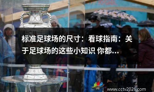 标准足球场的尺寸：看球指南：关于足球场的这些小知识 你都知道吗