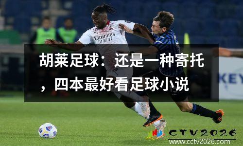 胡莱足球：还是一种寄托，四本最好看足球小说