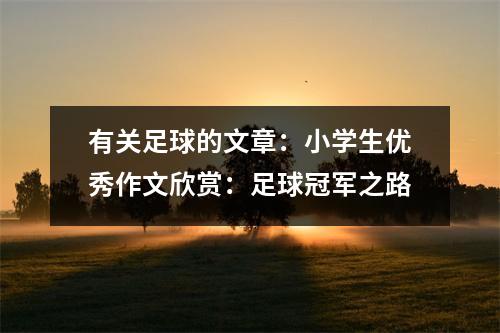 有关足球的文章：小学生优秀作文欣赏：足球冠军之路