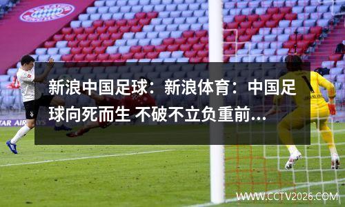 新浪中国足球：新浪体育：中国足球向死而生 不破不立负重前行