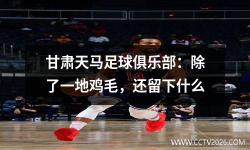 甘肃天马足球俱乐部：除了一地鸡毛，还留下什么