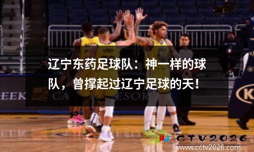 辽宁东药足球队：神一样的球队，曾撑起过辽宁足球的天！