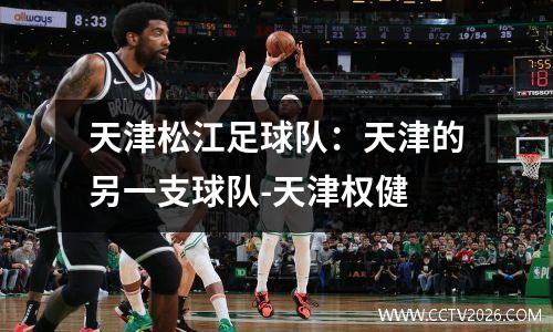 天津松江足球队：天津的另一支球队-天津权健