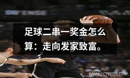 足球二串一奖金怎么算：走向发家致富。