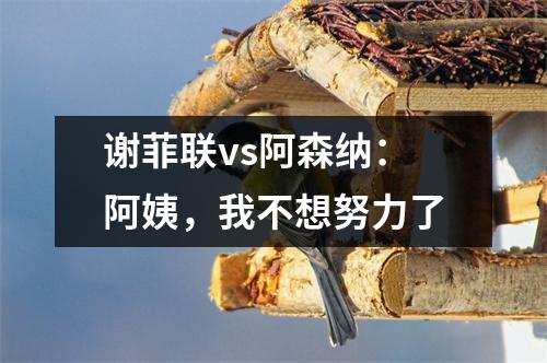 谢菲联vs阿森纳：阿姨，我不想努力了