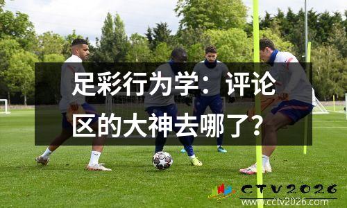 足彩行为学：评论区的大神去哪了？