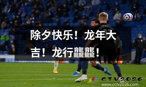 除夕快乐！龙年大吉！龙行龘龘！