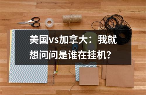 美国vs加拿大：我就想问问是谁在挂机？