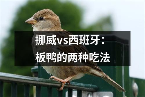 挪威vs西班牙：板鸭的两种吃法