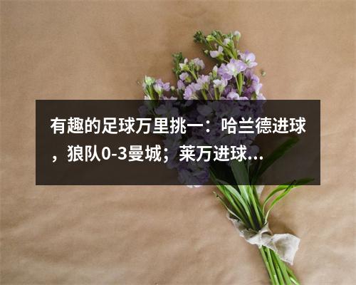 有趣的足球万里挑一：哈兰德进球，狼队0-3曼城；莱万进球，巴萨3-0埃尔切；孙兴慜带帽，热刺6-2莱斯特城；拜仁0-1爆冷输球