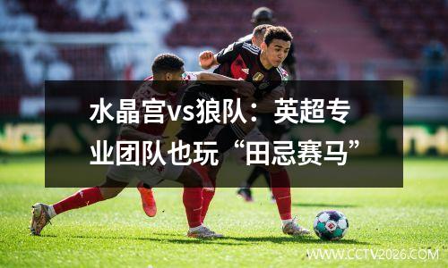 水晶宫vs狼队：英超专业团队也玩“田忌赛马”