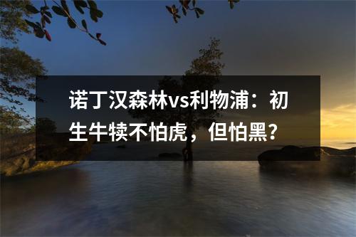 诺丁汉森林vs利物浦：初生牛犊不怕虎，但怕黑？
