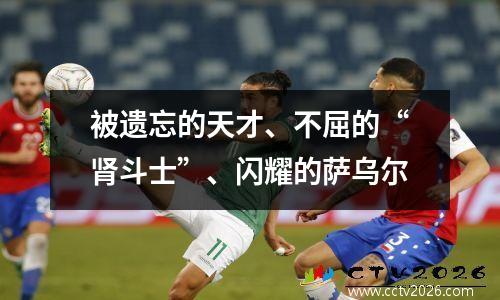 被遗忘的天才、不屈的“肾斗士”、闪耀的萨乌尔