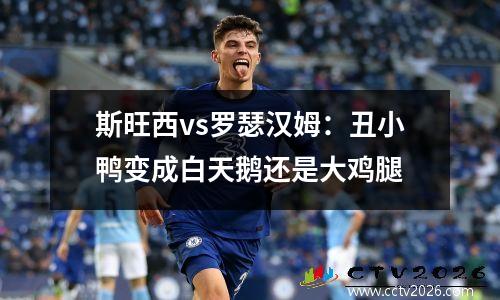 斯旺西vs罗瑟汉姆：丑小鸭变成白天鹅还是大鸡腿