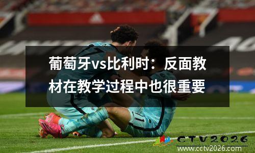 葡萄牙vs比利时：反面教材在教学过程中也很重要