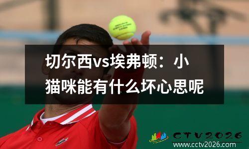 切尔西vs埃弗顿：小猫咪能有什么坏心思呢