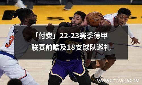 「付费」22-23赛季德甲联赛前瞻及18支球队巡礼