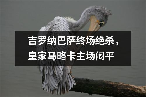 吉罗纳巴萨终场绝杀，皇家马略卡主场闷平