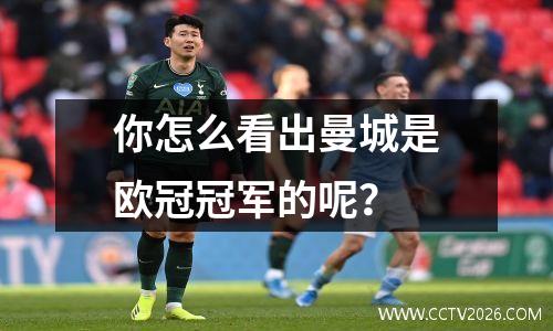 你怎么看出曼城是欧冠冠军的呢？