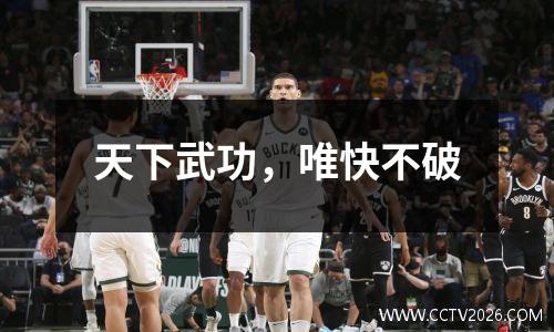 天下武功，唯快不破