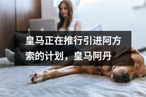 皇马正在推行引进阿方索的计划，皇马阿丹