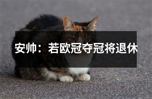 安帅：若欧冠夺冠将退休