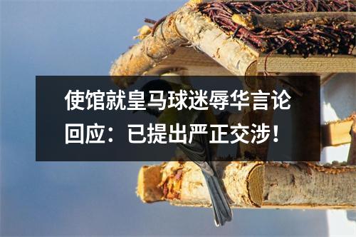 使馆就皇马球迷辱华言论回应：已提出严正交涉！