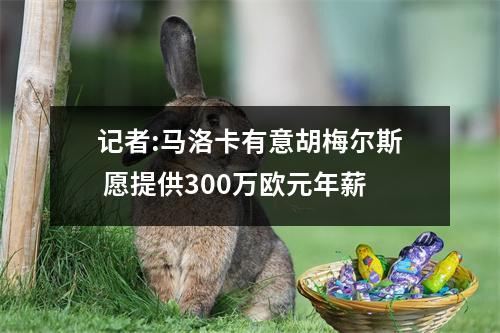 记者:马洛卡有意胡梅尔斯 愿提供300万欧元年薪