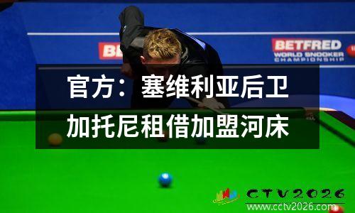 官方：塞维利亚后卫加托尼租借加盟河床