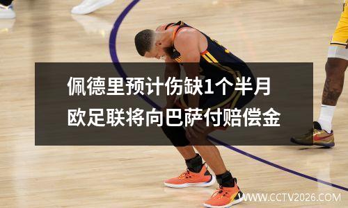 佩德里预计伤缺1个半月 欧足联将向巴萨付赔偿金