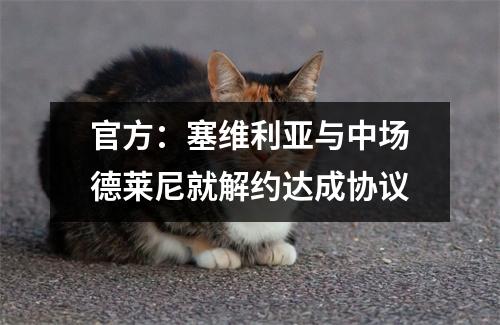 官方：塞维利亚与中场德莱尼就解约达成协议
