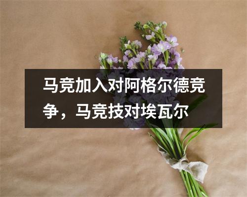 马竞加入对阿格尔德竞争，马竞技对埃瓦尔