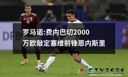 罗马诺:费内巴切2000万欧敲定塞维前锋恩内斯里
