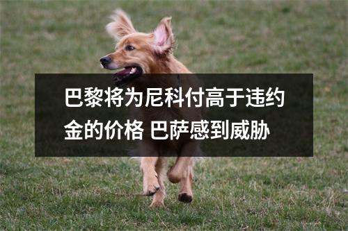 巴黎将为尼科付高于违约金的价格 巴萨感到威胁