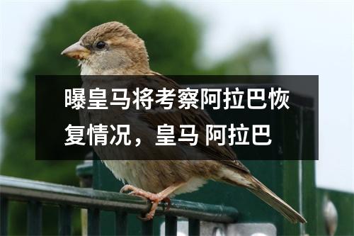 曝皇马将考察阿拉巴恢复情况，皇马 阿拉巴