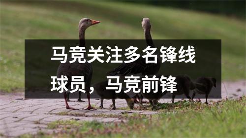 马竞关注多名锋线球员，马竞前锋