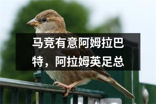 马竞有意阿姆拉巴特，阿拉姆英足总