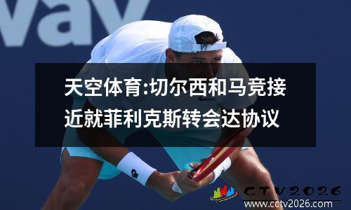 天空体育:切尔西和马竞接近就菲利克斯转会达协议