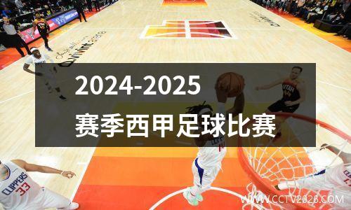 2024-2025赛季西甲足球比赛