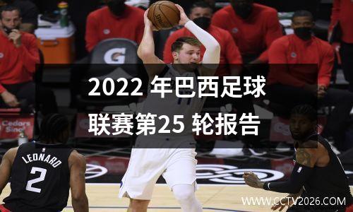 2022 年巴西足球联赛第25 轮报告
