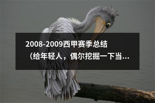 2008-2009西甲赛季总结（给年轻人，偶尔挖掘一下当年的东西）