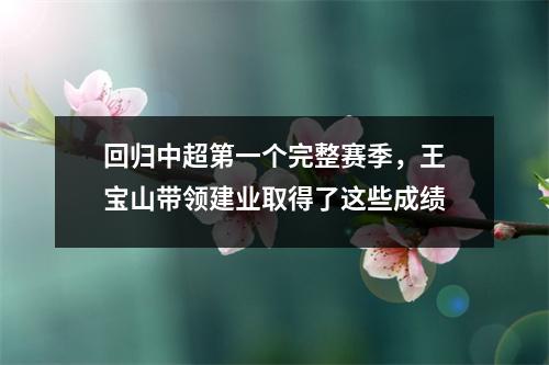 回归中超第一个完整赛季，王宝山带领建业取得了这些成绩