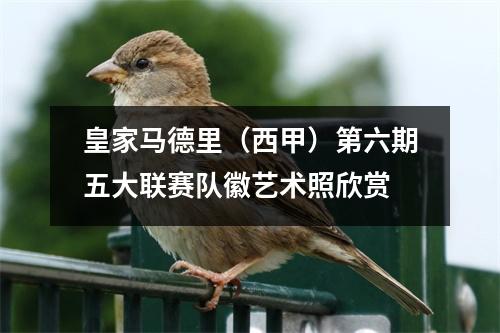 皇家马德里（西甲）第六期五大联赛队徽艺术照欣赏