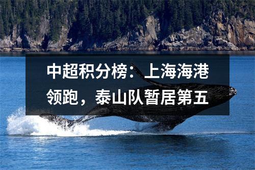 中超积分榜：上海海港领跑，泰山队暂居第五