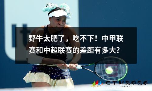 野牛太肥了，吃不下！中甲联赛和中超联赛的差距有多大？