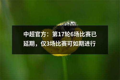 中超官方：第17轮6场比赛已延期，仅3场比赛可如期进行