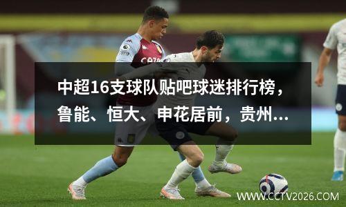 中超16支球队贴吧球迷排行榜，鲁能、恒大、申花居前，贵州垫底