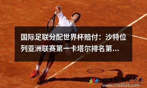 国际足联分配世界杯赔付：沙特位列亚洲联赛第一卡塔尔排名第二！六支中超球队受益